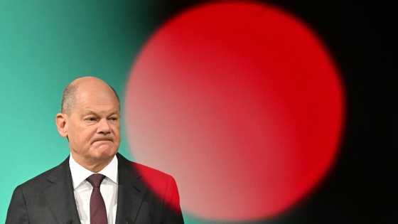 US may miss out on green tech boom: Germany