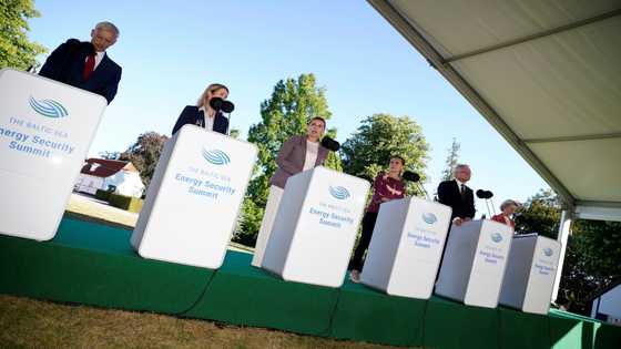 Baltic nations to boost offshore wind energy seven-fold by 2030