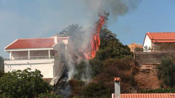 Greece on Sunday was battling three major wildfires in the north, in the south and in the east, amid high temperatures raising fears for more blazes. 