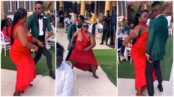 Plus-size lady with an 'I don't care' attitude gives show-stopping dance performance at wedding reception