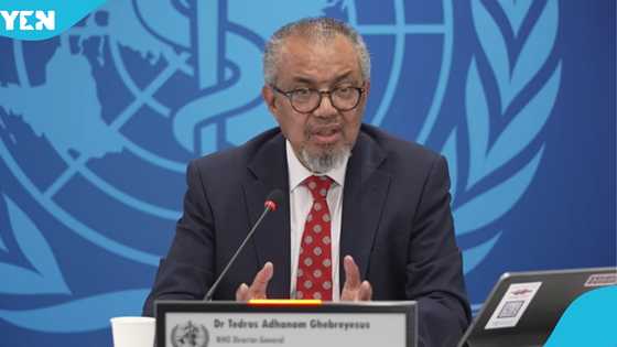 WHO issues alert on hantavirus as Africa and Europe report cases of deadly virus with no cure