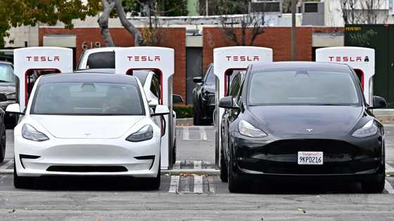 Tesla troubles: Speed bump or early signs of impending crash?