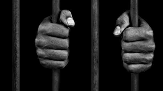Court fines mechanic GHS960 or in default serve an 8-week jail term for destroying Akufo-Addo’s fence wall
