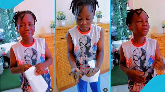 Mzbel’s son grieves over sudden death of his two pet snails in an emotional video