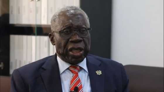 Osafo-Maafo appointed Senior Presidential Advisor even after announcing retirement