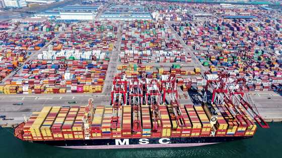 Global trade uncertainty could have 'severe negative consequences': WTO chief