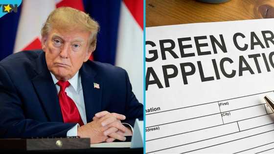 US lists 5 conditions skilled workers must meet for employment-based Green Card