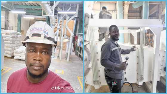 Man who worked for 12 years after high school and set up own firm in 2018 internationally recognized