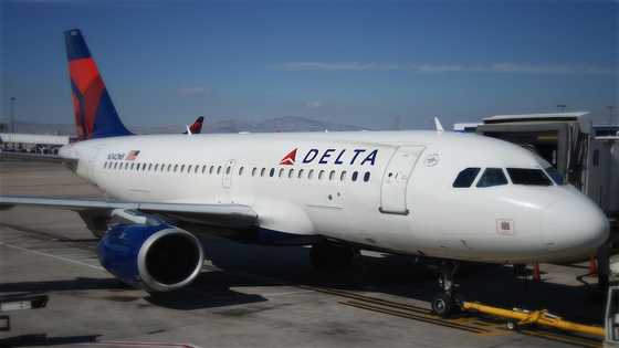 Another Nigerian dies on plane three minutes before landing