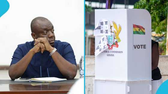 "This is going to be a huge burden": NPP rejects Supreme Court’s delegate system ruling