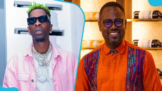 Shatta Wale tears into Abeiku Santana, calls him a fool for being a detractor