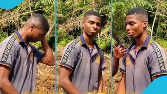 WASSCE 2024: NSMQ boy who scored 8As works as a labourer on a farm, seeks help to further his education