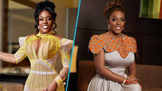 Nana Aba tells Ghanaian man who begged her for job to wait for 24-hour Economy