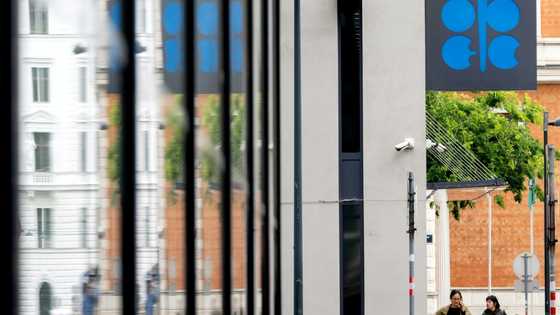 How successful has OPEC+'s oil output policy been in 2025?