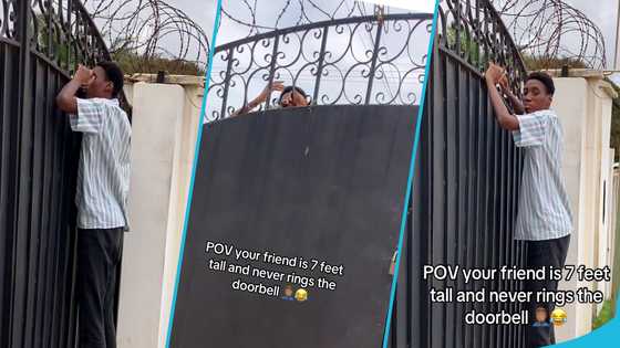 7ft tall Ghanaian man trends as he looks into friend's house from behind the gate, video
