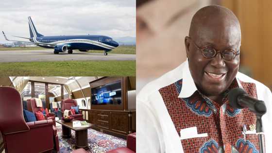 Akufo-Addo spent $574,000 to rent luxurious private jet on recent trip - Ablakwa claims
