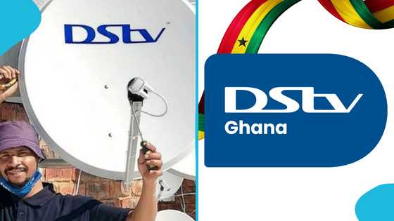MultiChoice agrees to stakeholder engagement on pricing: “They are being pampered”