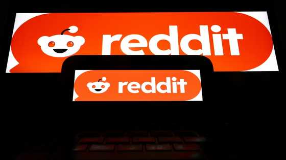 Social media company Reddit rides high in IPO