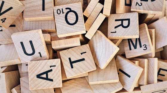 12 really cool three letter words in English: Here are their surprising meanings