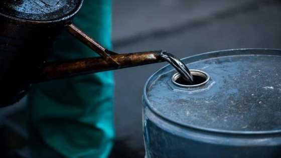 BOST report reveals acts of crime in contaminated Movenpina-Zup oil deal