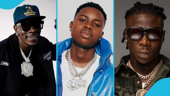 Peller In Ghana: Stonebwoy's Camp Speaks Amidst Saga With Nigerian Star