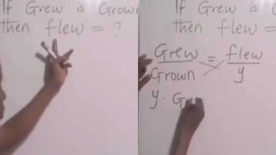 Video of teacher using ratio & proportion to find past participle of 'flow' causes many to react