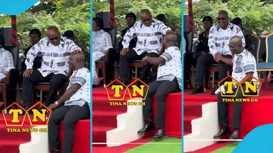 Appiah Stadium bonds with Mahama like a child as they chat at Atta Mills' wreath-laying ceremony, video