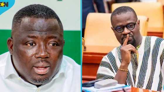 "We're coming for your seat": NDC Deputy General Secretary tells Annor-Dompreh