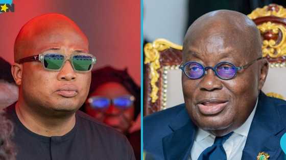 Okudzeto Ablakwa defends oversight role in Akufo-Addo private jet scandal: "I owe no one an apology"