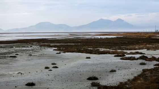 Iran arrests several after protests at drying lake