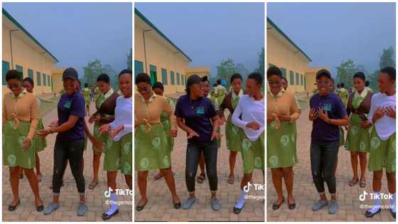 Five cute students of Abuakwa State College show off sassy dance moves in viral video; alumni react