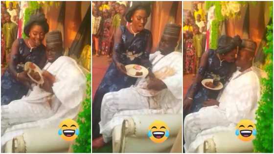 "The marriage is over": Video shows embarrassing moment bride poured food on groom while trying to kiss him