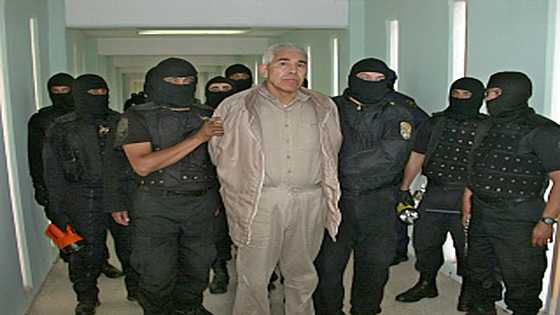 Mexico court temporarily blocks drug lord's extradition