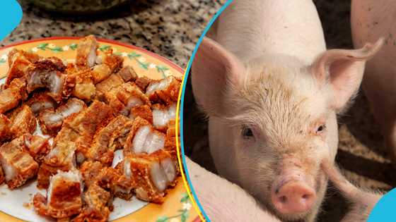 Farm gate prices of pork to go up by 20% from December 1, 2023