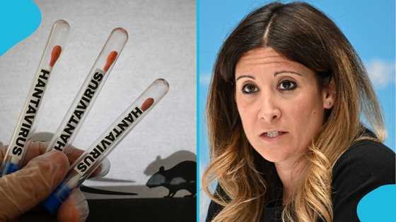 WHO moves to calm fears over Hantavirus amid online concerns
