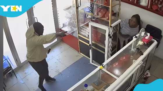 CCTV footage of how notorious jewellery robbery gang operated released