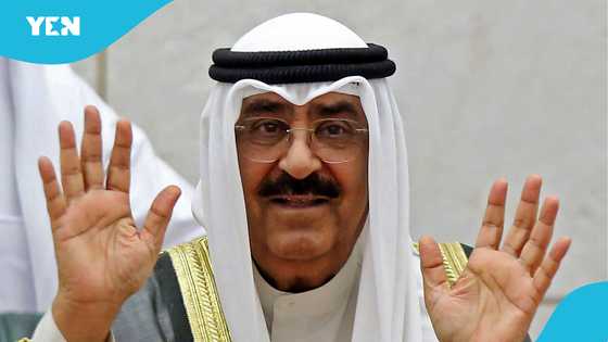 Kuwait scraps automatic extensions for visit visas and leave permits