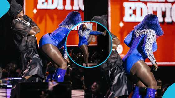 Stonebwoy dances romantically with heavily endowed Jamaican singer Spice at Bhimfest, Ghanaians react