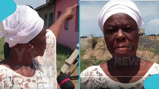 Ramsar Site Demolition: Church Begs for More Time as Task Force Moves to Destroy It