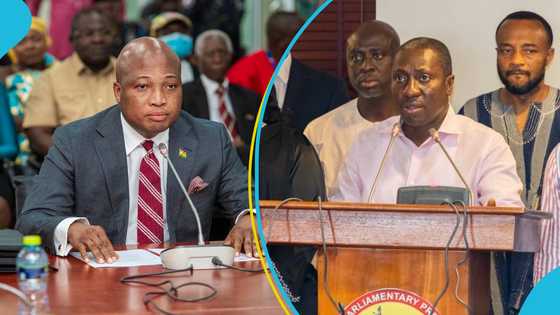 "He is able to afford Airport Hills": Afenyo-Markin fires at NDC, Ablakwa over hypocrisy