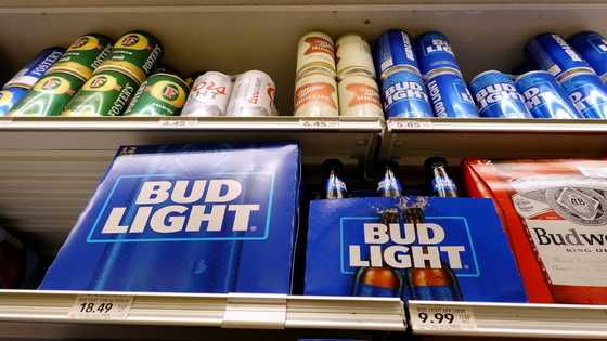 Bubbling profits for AB InBev despite Bud Light boycott