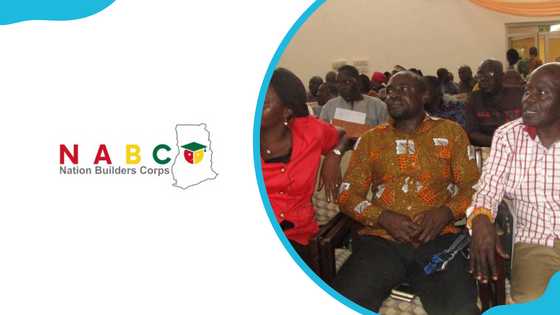 NABCO portal login: How to register, application form, check payment history and more