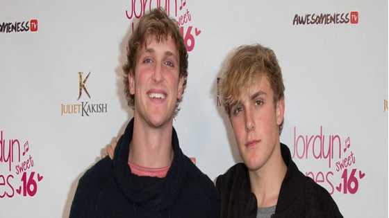 How did Logan and Jake Paul become famous? YouTube, controversy, boxing, latest information