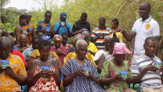 Certified Ghanaian herbalist discovers herbs that cure blindness; treats 100s for free