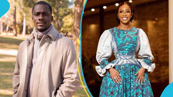 Serwaa Amihere: Zionfelix distances himself from embattled journalist's issues, warns his writers