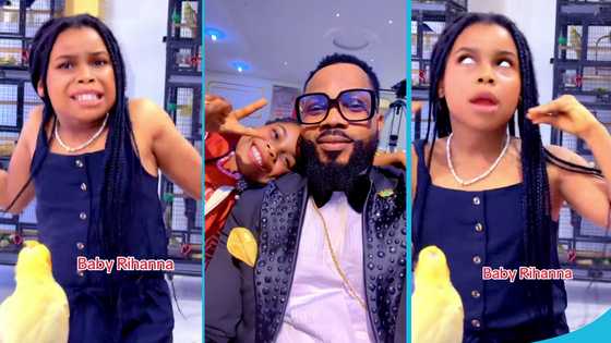Agradaa's daughter Rihanna jabs critics using Blacko's Where Dem Boyz, as her mum serves 15 years