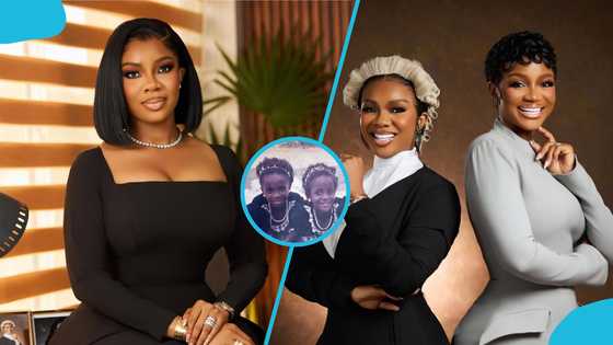 Serwaa Amihere posts rare childhood photo with her sister, asks fans to guess between them, reactions drop
