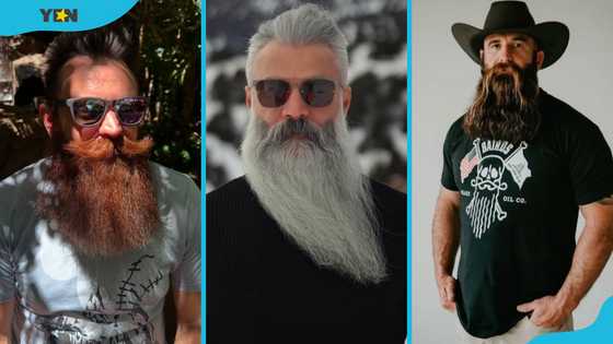 20 best long beard styles to elevate your look with confidence