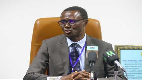 Prices to shoot up; GRA cancels all free tax on importation of rice, oil, tomato paste and cement