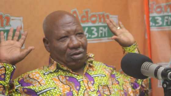 I don’t know whether they are brainless - Allotey Jacobs after NDC sacked him